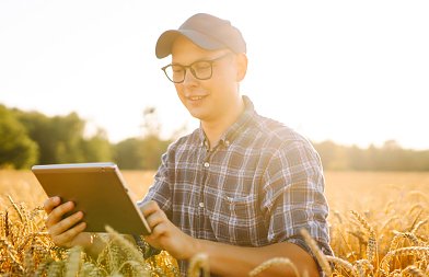 Η ΑΑΔΕ έκανε την ανάρτηση αποτελεσμάτων Monitoring για κίτρινα αγροτεμάχια, τι πρέπει να κάνουν οι παραγωγοί