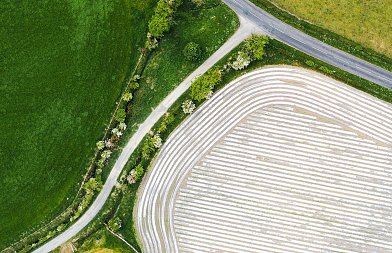 Agrisnap: Αίτημα για επαναλειτουργία της εφαρμογής λόγω μη ολοκλήρωσης των απαραίτητων διορθώσεων
