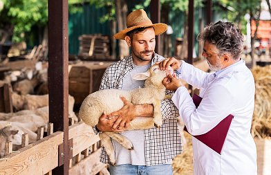 Πιστώσεις για τα μέτρα βιοασφάλειας ζητούν οι κτηνίατροι του δημοσίου προκειμένου να κάνουν ελέγχους