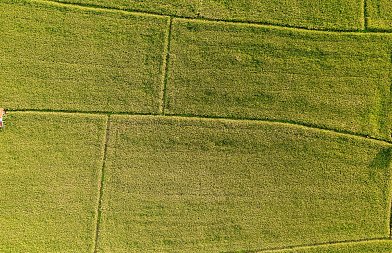 Αγροτεμάχια έως 20 στρέμματα χωρίς ΑΤΑΚ ή ΚΑΕΚ: Πώς ανοίγει ο δρόμος για πληρωμές εκκρεμοτήτων ΕΑΕ 2025