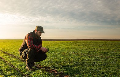 ΕΦΚΑ για ασφαλιστική ικανότητα έως 2027: καταβολή καθυστερούμενων εισφορών δεν συνεπάγεται αυτόματη ανανέωση