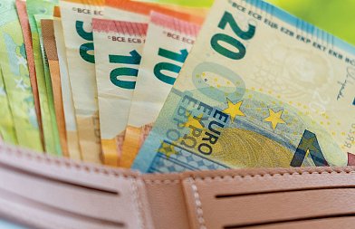 Με 50 εκ. ευρώ οι αποζημιώσεις των παραγωγών που επλήγησαν από τον παγετό του 2025, ποιες οι καλλιέργειες και οι επιλέξιμες περιοχές
