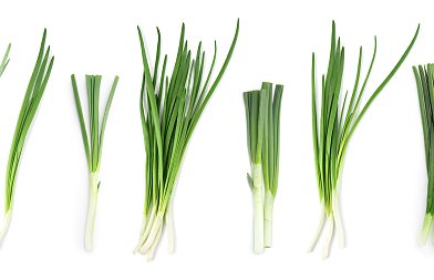 Φρέσκο κρεμμύδι: Σταθερή ζήτηση, αλλά υψηλό κόστος και περιορισμένα περιθώρια