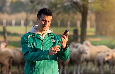 Λιακούλη: Η Κυβέρνηση απέκρυψε επιστολή της Επιτροπής για ευλογιά, που χαρακτηρίζει αναγκαίο και υποχρεωτικό τον εμβολιασμό