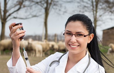 Προβλέπεται η κάλυψη δαπανών για εμβόλια και εντομοκτόνα για τον καταρροϊκό πυρετό