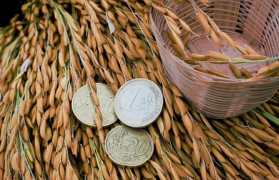 Κλείδωσε η στρεμματική ενίσχυση στο ρύζι, πόση θα είναι και πότε αναμένεται να καταβληθεί