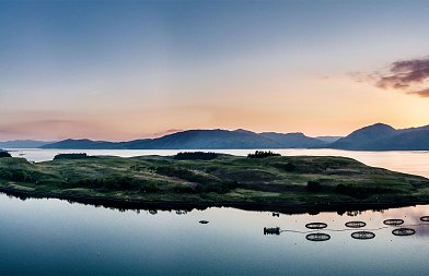 «Χάος» στην αλιευτικά νομοθεσία – Προβλήματα στους ελέγχους και υποστελέχωση. Μία χώρα με αλιευτική παράδοση σε κρίση