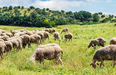 Εξισωτική Αποζημίωση 2025: Αναρτήθηκαν οι πίνακες – Λειτουργική η πλατφόρμα
