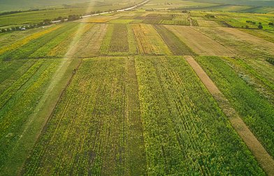 Αμειψισπορά και επιλεξιμότητα: Οι κανόνες που καθορίζουν τις ενισχύσεις