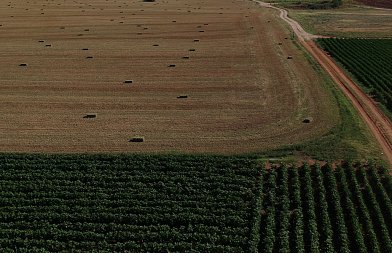 Έρευνα της EPPO στη Βουλγαρία για υπόθεση απάτης με αγροτικές επιδοτήσεις