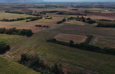Νομοθετική ρύθμιση για εκκαθάριση ενισχύσεων από 2018 έως 2022, δεν θα λαμβάνονται υπόψιν οι δασικοί χάρτες