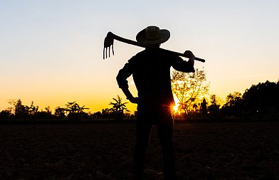 Ευρωπαϊκό Ελεγκτικό Συνέδριο: Η πρόταση της Κομισιόν για τη νέα ΚΑΠ περιέχει αβεβαιότητες και ασάφειες