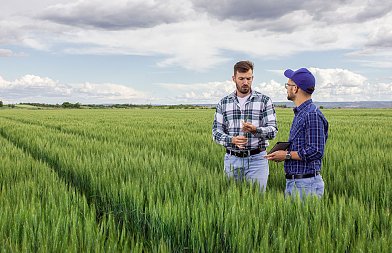 Ομαδική έξοδος από αγροτικό επάγγελμα, μέσα σε ένα χρόνο αποχώρησαν 75.900 παραγωγοί