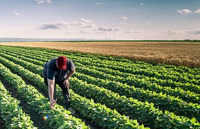 Κωστής Χατζηδάκης: Μήνας πληρωμών για τους αγρότες θα είναι ο Δεκέμβριος