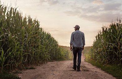 Ο Νοέμβριος είναι μήνας πληρωμών, λέει ο κυβερνητικός εκπρόσωπος Παύλος Μαρινάκης