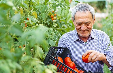 Πότε πληρώνονται οι συντάξεις Δεκεμβρίου, ποιοι συνταξιούχοι δικαιούνται το επίδομα 250 ευρώ
