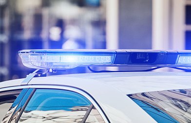Σύλληψη αλλοδαπού για διακίνηση φυτοπροστατευτικών χωρίς έγγραφα εκτελωνισμού - Τι επισημαίνει ο ΕΣΥΦ για τα παράνομα φυτοπροστατευτικά