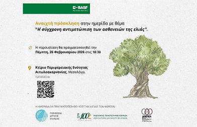 Ημερίδα για τις ασθένειες της ελιάς στο Μεσολόγγι