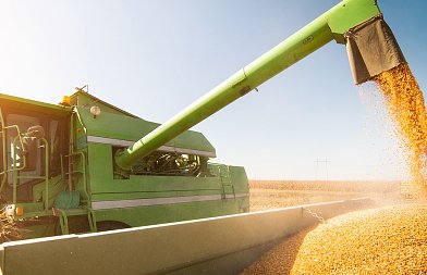 Καλαμπόκι: Ανοδική παραγωγή και πιο «σφιχτό» ισοζύγιο στην παγκόσμια αγορά