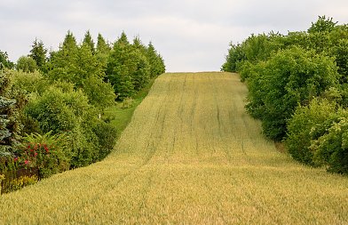 Αντιδράσεις Πανελλήνιας Ένωσης Ιδιοκτητών Αγροτικών Ακινήτων για άρθρο 12 νομοσχεδίου Χατζηδάκη για κράτος φιλικό στον πολίτη
