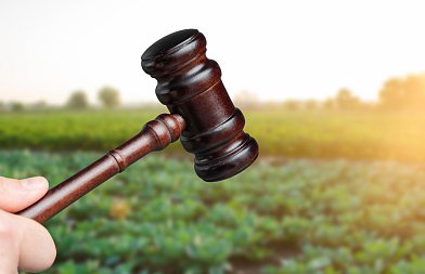 Αλαλούμ στην Επιτροπή για τον Γιώργο Ξυλούρη: Δεν κατέθεσε, κόμματα ζήτησαν τη βίαιη προσαγωγή του