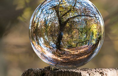 COP30: Αργή πρόοδος παρά την κλιματική κρίση – η ΕΕ «κολύμπησε κόντρα στο ρεύμα»