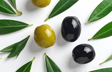 Προβλέψεις για παραγωγή ελιών Χαλκιδικής, Αμφίσσης και Καλαμών, τι δήλωσε ο πρόεδρος της ΔΟΕΠΕΛ στον ΑγροΤύπο