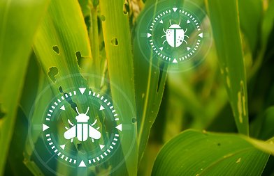 Ολοκληρώθηκε το 20ό Πανελλήνιο Εντομολογικό Συνέδριο στη Μυτιλήνη