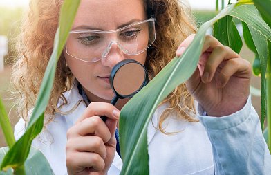 Το Σύγχρονο Ερευνητικό Ινστιτούτο, ως Στρατηγική Επιλογή Εθνικής Ανάπτυξης