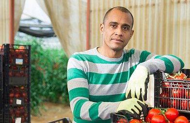 Έναρξη υλοποίησης της συμφωνίας Ελλάδας και Αιγύπτου για την μετάκληση εργατών γης