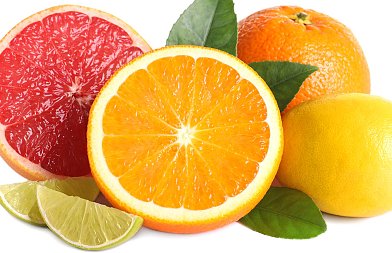 Αυξάνεται η παραγωγή εσπεριδοειδών στο Μαρόκο, πόση είναι η κρατική επιδότηση στους παραγωγούς