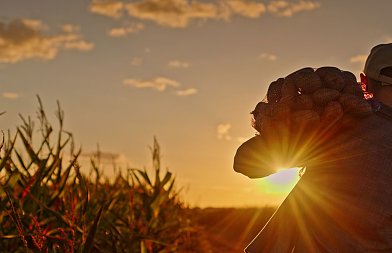 Αυξάνουν τα χρέη στον ΕΦΚΑ και χάνονται οι ρυθμίσεις οφειλών δείχνουν τα στοιχεία του ΚΕΑΟ