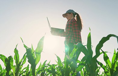 Χθες βράδυ άνοιξε το ΟΣΔΕ: τι βλέπουν τα ΚΥΔ στην πράξη και πού «κολλάει» το σύστημα