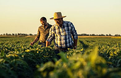 Μικρός κλήρος: Μήπως εστιάζουμε σε λάθος γωνία;