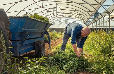Αύξηση κονδυλίων της ΚΑΠ 2028-2034 κατά 139,31 δις ευρώ ζητάνε οι Ευρωβουλευτές
