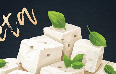 Σαράντης (ΕΔΟΦ): Αναμένεται μείωση εξαγωγών φέτας, λόγω χαμηλής παραγωγής γάλακτος – Τα ζώα δεν είναι αυτά που δηλώνονται