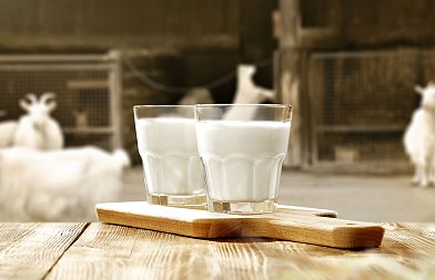 Το «λυπάμαι» του Κέλλα που έφερε οργή στους κτηνοτρόφους της Λέσβου, δεν υπάρχει σχέδιο από ΥπΑΑΤ για αφθώδη πυρετό