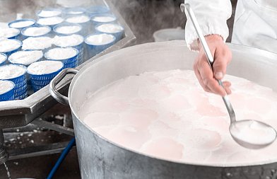 Αφθώδης πυρετός στη Λέσβο και αγώνας δρόμου για να μη χαθεί ο έλεγχος, τι ισχύει για το νωπό γάλα στο νησί