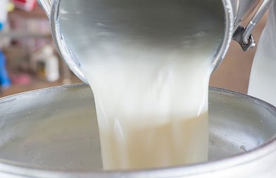 Έχουμε συμφωνία για το γάλα από τον Κτηνοτροφικό Συνεταιρισμό «Φάρμες Λιβαδίου»