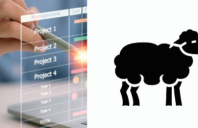 Σκάνδαλο ΟΠΕΚΕΠΕ: Ρόζα Γαργαλάκου και Neuropublic