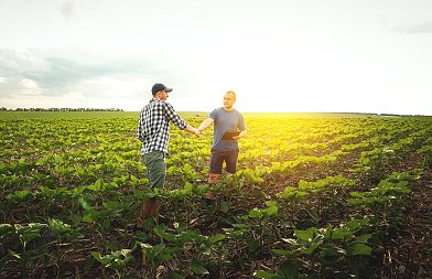 Η ΕΕ δίνει πράσινο φως στην Γαλλία σε κρατικές ενισχύσεις 300 εκ. ευρώ για συμβουλευτικές υπηρεσίες στην γεωργία