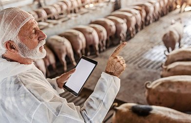 Η τελική λίστα χοιροτρόφων που εντάχθηκαν στην καλή μεταχείριση των ζώων και τα ποσά της ενίσχυσης που θα  λάβουν