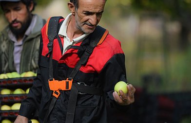 Στο ΦΕΚ οι θέσεις εργαζομένων από τρίτες χώρες για το 2026 – Τι προβλέπεται