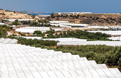 Τι σημαίνει η υψηλή αγωγιμότητα για τα φυτά του θερμοκηπίου και πώς προσαρμοζόμαστε.