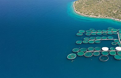 Η τροχοπέδη του χωροταξικού σχεδιασμού στις ιχθυοκαλλιέργειες – Ο εξαγωγικός κλάδος σκοντάφτει στη χωροθέτηση