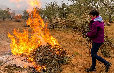 Προσοχή κατά την καύση κλαδεμάτων και άλλων φυτικών υπολειμμάτων, υπάρχει κίνδυνος προστίμων και ποινικών κυρώσεων