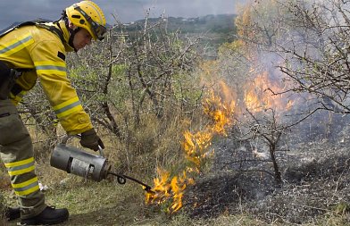 Φωτιές άναψε η «ελεγχόμενη καύση», στη Βουλή – Έντονα αντέδρασαν οι γεωτεχνικοί στο νομοσχέδιο για την Πολιτική Προστασία