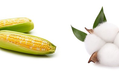 Στο ΦΕΚ ο νέος τεχνικός κανονισμός για ποικιλίες φυτών μεγάλης καλλιέργειας και κηπευτικών