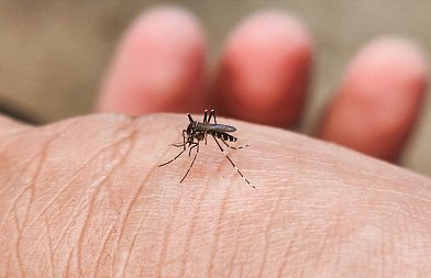 Η Ελλάδα στην αντεπίθεση κατά των κουνουπιών