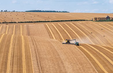 Προκαταβολή 18 λεπτά για το κριθάρι ανακοίνωσε ο Αγροτικός Συνεταιρισμός Βόλου